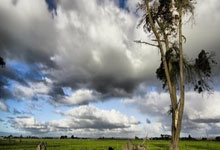 卢旺达代表团首次夺得金牌，激情无限