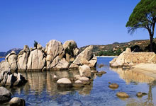 武汉队惊喜亮相！新帅领队打破传统！