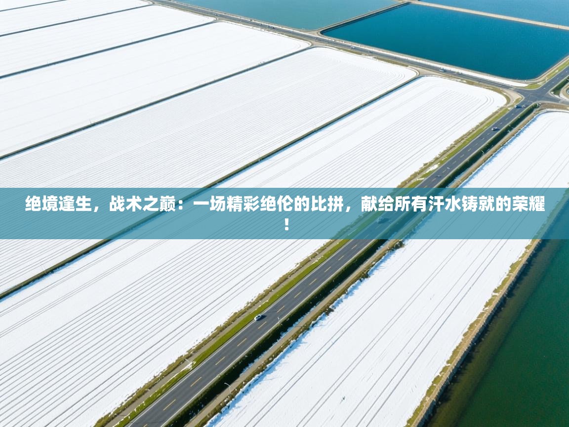 绝境逢生,战术之巅:一场精彩绝伦的比拼,献给所有汗水铸就的荣耀! 第2张